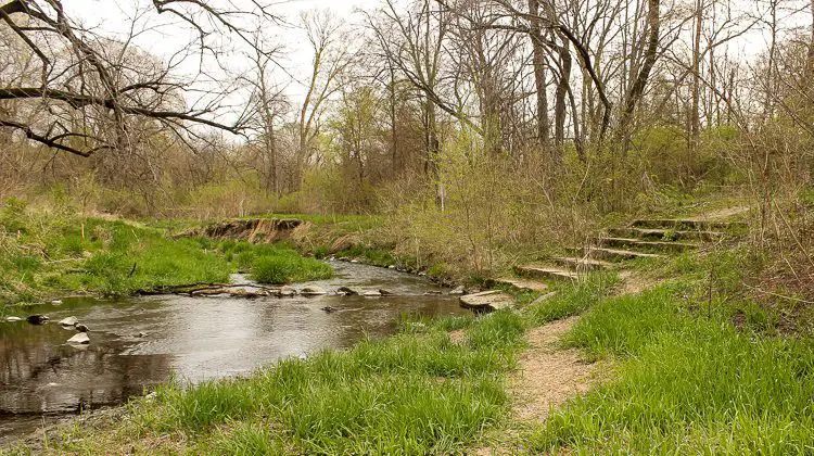 Camp Creek at Thomas Mitchell Park