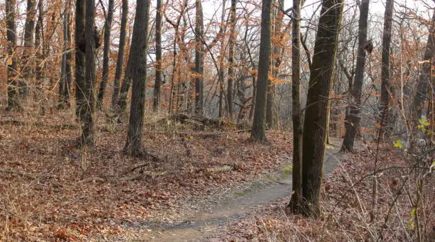 Center Trails at Ashworth Park