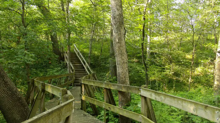 Zo-El Annett Woods Trail
