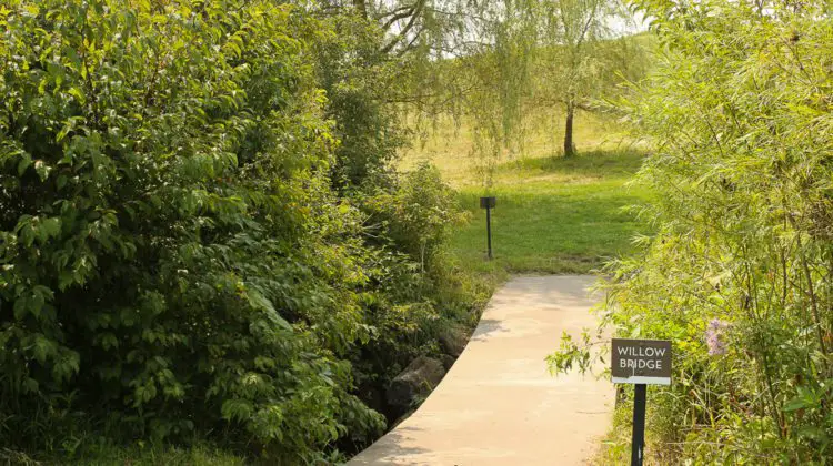 Bridge at Brenton Arboretum
