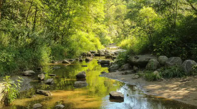 Peas Creek at Ledges State Park