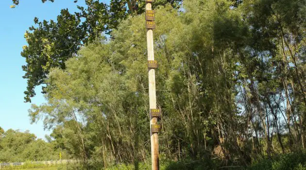 Flood Pole