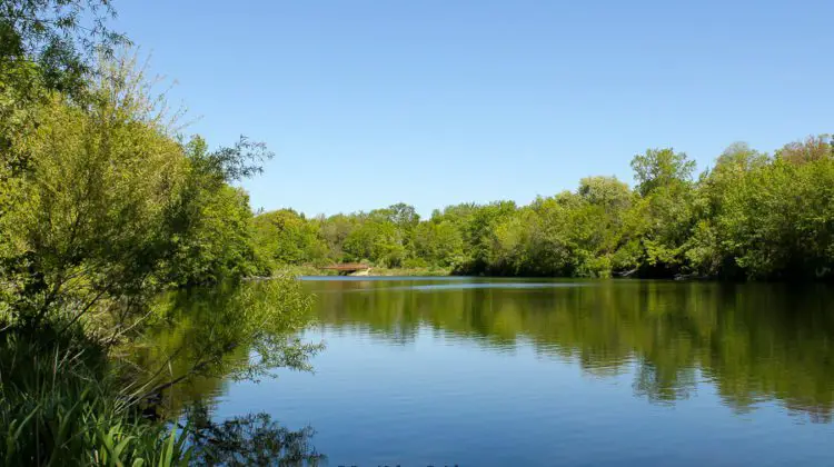 Fort Des Moines Park Pond