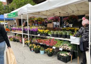 Flower and veggie stand