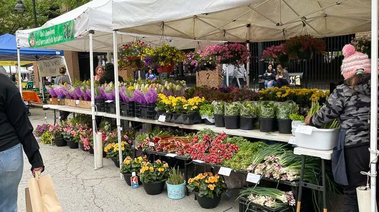Flower and veggie stand, Spring in Des Moines