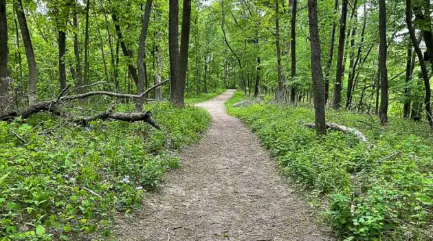 Woodpecker Trail