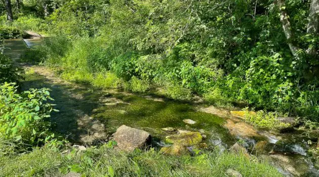 Fenchel Creek