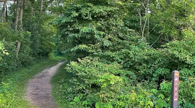 Trail at Volga River State Recreation Area