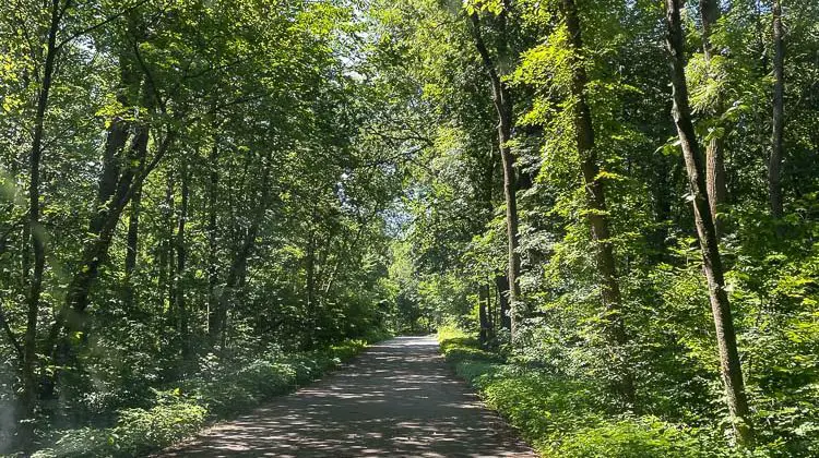 Cathedral Tree Drive at Wyalusing State Park