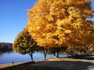 Iowa Fall - Lake Macbride