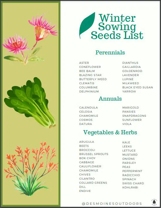 Winter Sowing Seeds List