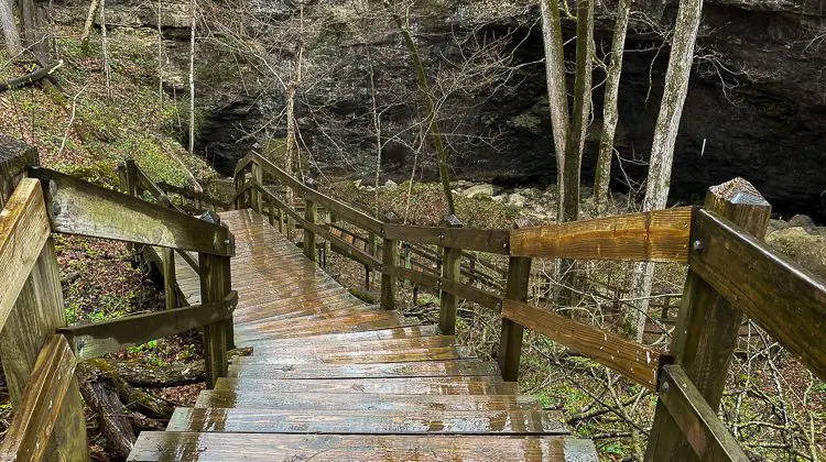 Stairway at Maquoketa Caves State Park