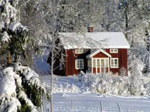 Winter Garden and house