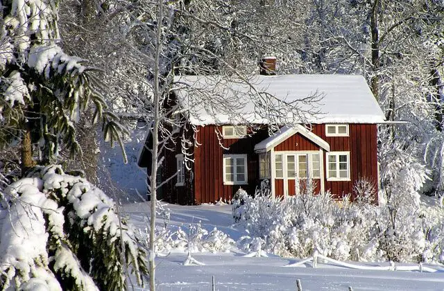 Winter Garden and house