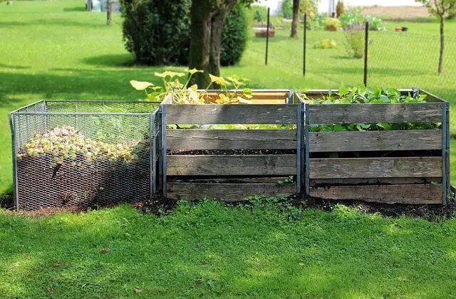 compost helps with a gardening budget